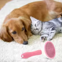 Pet Grooming Brush