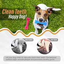 Soft Dental Chew Toy for Small Dogs
