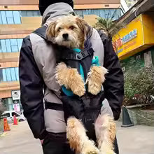 Front Dog Carrier Backpack