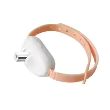 LED Laser Cat Collar Toy
