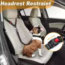 2-in-1 Pet Harness & Car Seat Belt