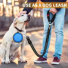 2-in-1 Pet Harness & Car Seat Belt