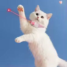 LED Laser Cat Collar Toy
