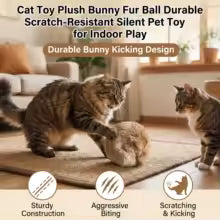 Catnip Fur Ball Cat Toy