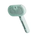 Steam Spray Pet Grooming Brush