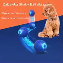 Interactive Auto-Rolling Dog Ball