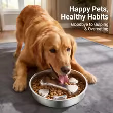 Stainless Steel Slow Feeder Pet Bowl