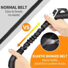 2-in-1 Pet Harness & Car Seat Belt