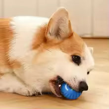 Smart Interactive Dog Ball Toy