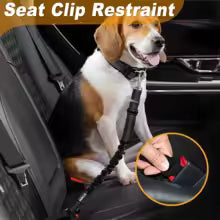 2-in-1 Pet Harness & Car Seat Belt