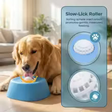 Dog Lick Bowl Slow Feeder