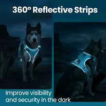 Waterproof No-Pull Dog Harness