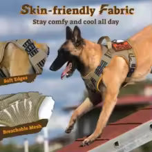 Tactical No-Pull Dog Harness