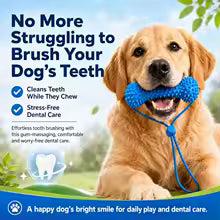 Dental Chew Toy for Dogs