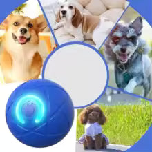 Interactive Auto-Rolling Dog Ball