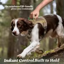 Tactical No-Pull Dog Harness