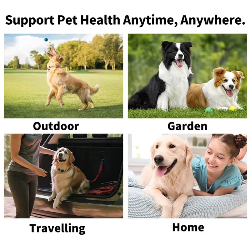 Pet Finger Toothbrush Wipes