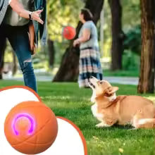 Interactive Auto-Rolling Dog Ball