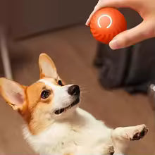 Smart Interactive Dog Ball Toy
