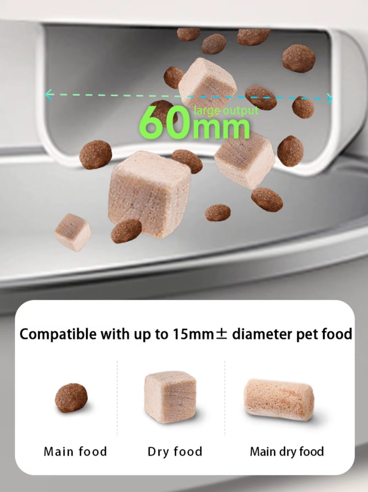 Smart WiFi Pet Feeder with Camera