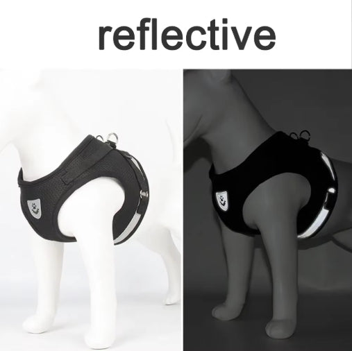Adjustable Reflective Pet Harness & Leash Set