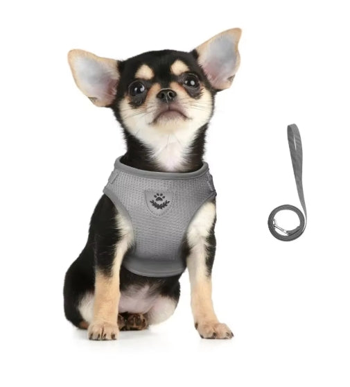 Adjustable Reflective Pet Harness & Leash Set