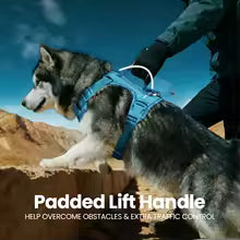 Waterproof No-Pull Dog Harness